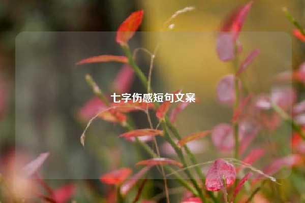 七字伤感短句文案