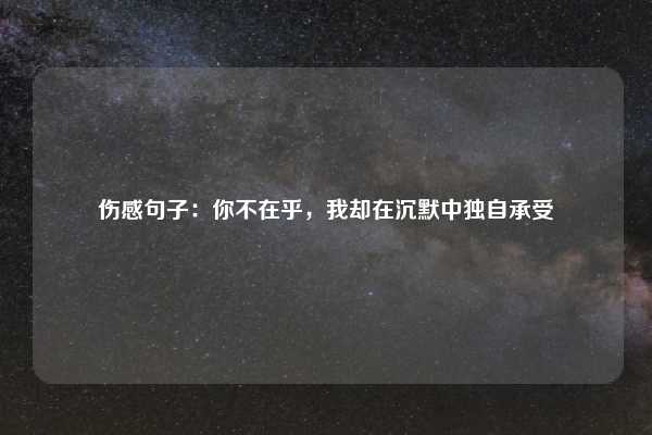 伤感句子:你不在乎,我却在沉默中独自承受