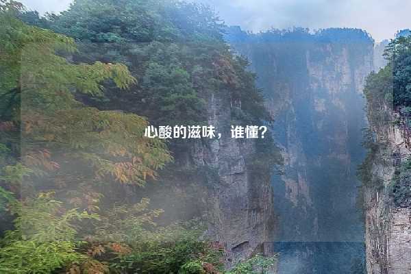 心酸的滋味,谁懂?