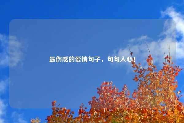 最伤感的爱情句子，句句入心！