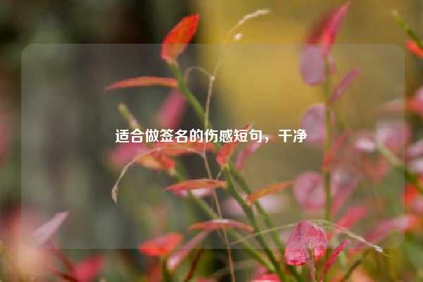 适合做签名的伤感短句,干净