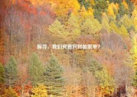 探寻，我们究竟何时能脱单？