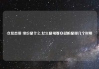 仓鼠恋爱 缘份是什么,女生最需要安慰的是哪几个时期