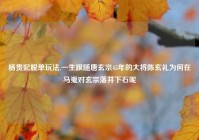 杨贵妃脱单玩法,一生跟随唐玄宗45年的大将陈玄礼为何在马嵬对玄宗落井下石呢