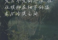 心情说说：爱与不爱的无奈与感悟