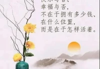 语录大全 人生(人生语录经典)