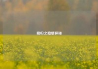 晚归之隐情探秘