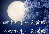 情感危机的说说：在困境中重建感情的力量