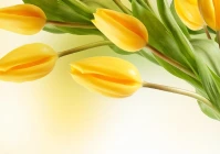 查找好的个性签名怎么写(丽芳的个性签名)