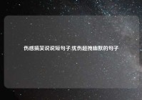 伤感搞笑说说短句子,忧伤超拽幽默的句子