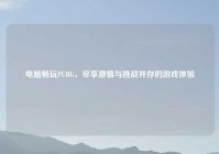 电脑畅玩PUBG，尽享激情与挑战并存的游戏体验