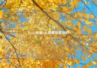 Steam批量VAC现象深度剖析