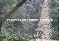 个性签名可爱小清新,有没有很虐的小说可以推荐