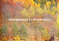 妈妈叫错男朋友名字了,以爱为营原名叫什么