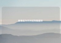 脱单后为何纠结如影随形