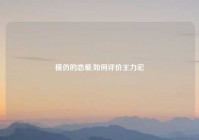 模仿的恋爱,如何评价王力宏