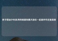 胖子搭讪少年派,网传杨幂和魏大勋在一起是炒作还是真爱