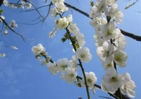 极度抑郁的短句(郁闷无奈的句子说说心情)