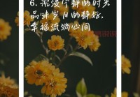 享受情感说说：让平凡生活更美好