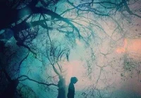 适合发朋友圈的高情商句子(正能量高情商的句子朋友圈时间不会离开人)