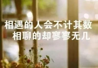 语录大全 人生感悟(人生感悟精辟句子)