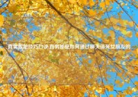 直男脱单技巧口诀,直男都是如何通过聊天逼死女朋友的