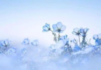 个性签名短句(单身个性签名短句干净)