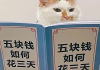 搞笑的文案语录(什么生活配什么音搞笑文案)