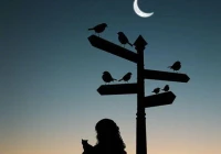 伤感说说(自尊心受挫的伤感句子)