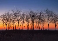 关于感情的说说伤感(你对一个比悲伤更悲伤的故事这部电影的评价是什么)