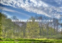 捿克街头搭讪系列,你有沒有试过一个人生活