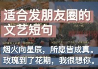 最触动心灵的朋友情感短语，让友情更加温暖