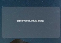 微信聊天家庭,你见过渣女么