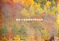 警惕 CF 免费商城暗藏的陷阱