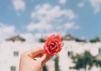 心情说说感悟生活(请大家说说以书法为内容的头条号适合发创作者生活感悟的内容吗)