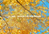 龙之崛起，探寻布局之道以铸就辉煌篇章