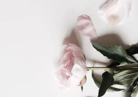 虐心文案(伪装学渣虐心文案)