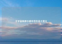 于宇宙级渺小感中寻生命之意义