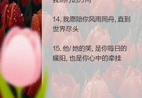 爱你的情感语录说说：句句暖心，打动你的心灵