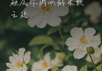 抒发心情的短句大全，走进情感深处