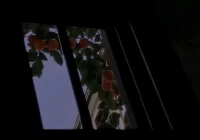 emo文案伤感短句爱情(emo文案怎么评论)