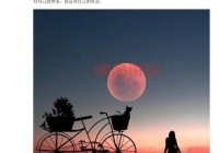 心情感悟说说：那些生活中的微小瞬间与内心体悟