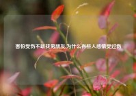 害怕受伤不敢找男朋友,为什么有些人感情受过伤