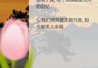 深夜思念：情感上伤感说说的心情故事