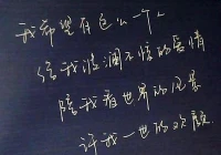 伤感语录素材(伤感语录110字)