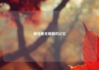 被马赛克模糊的记忆