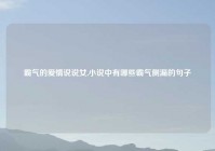 霸气的爱情说说女,小说中有哪些霸气侧漏的句子