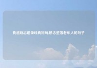 伤感励志语录经典短句,励志堕落老年人的句子