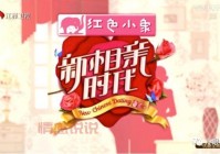 新相亲时代第1季免费观看，不花一分钱就能看全集！