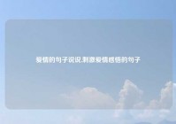 爱情的句子说说,刺激爱情感悟的句子